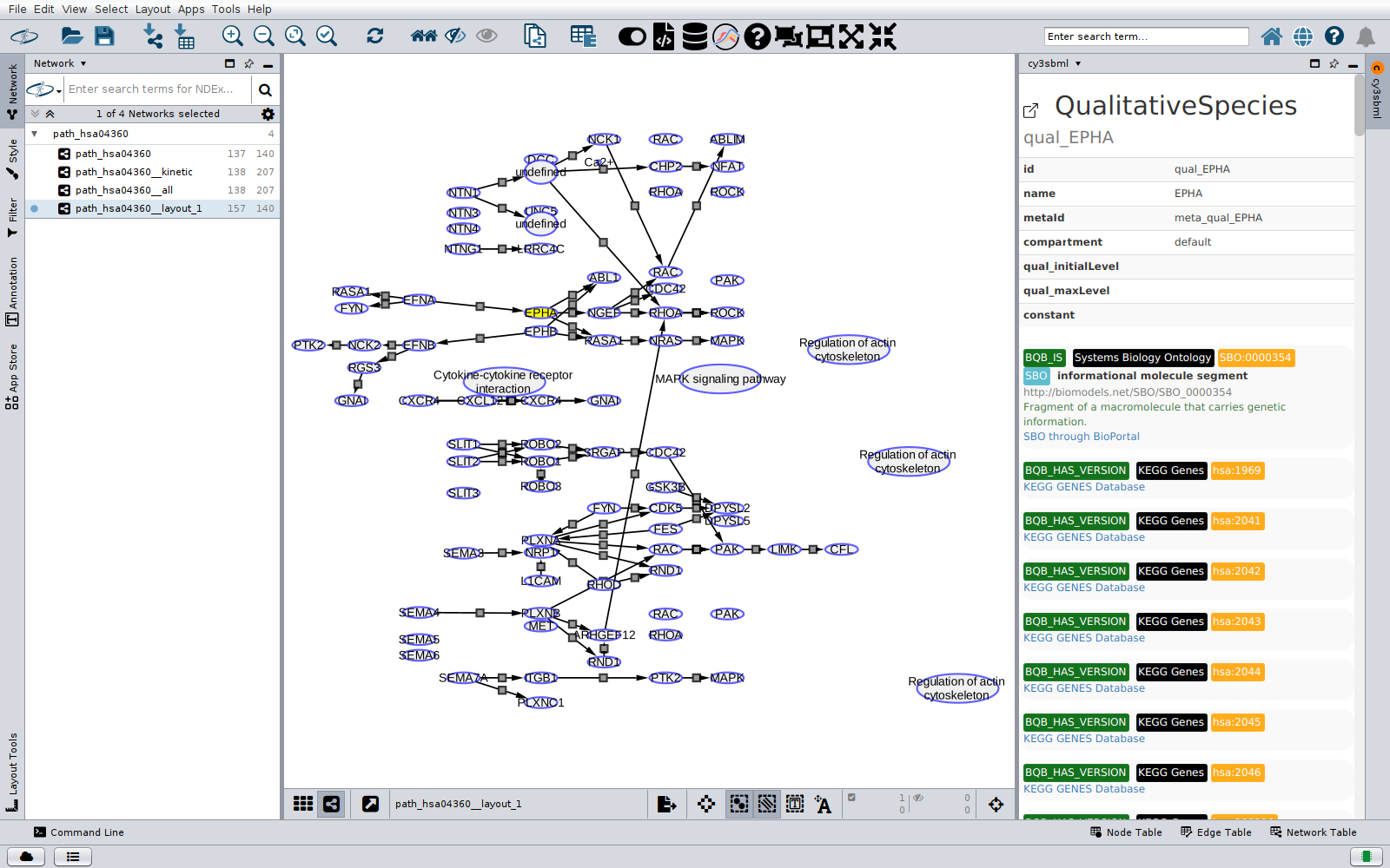 The layout network path_hsa04360__layout_1 of the KEGG pathway axon guidance (hsa04360) with the selected qualitative species EPHA